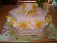 /album/narodeninove-torty1/p3260196-jpg/