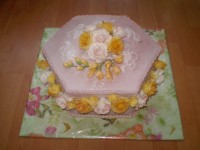 /album/narodeninove-torty1/p3260195-jpg/