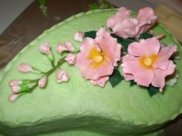 /album/narodeninove-torty1/p2110080-jpg/