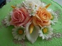 /album/narodeninove-torty1/p2060078-jpg/