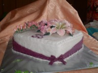 /album/narodeninove-torty1/p2180105-jpg/