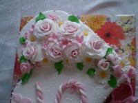 /album/narodeninove-torty1/p4290932-jpg/