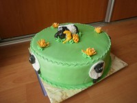 /album/detske-torty/a257942730897876-jpg/
