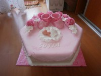/album/torty-na-krstiny/a257556624269820-jpg/