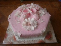 /album/torty-na-krstiny/a387367317955416-jpg/